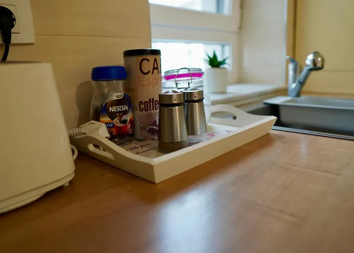 아파트 Coresi Zaharia Stancu Luxury 2 브라쇼브