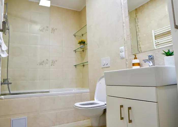 Coresi Zaharia Stancu Luxury 2 * 브라쇼브