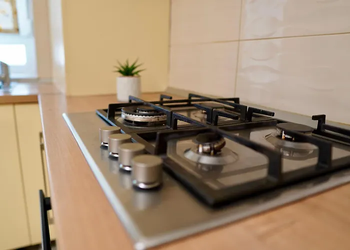 아파트 Coresi Zaharia Stancu Luxury 2